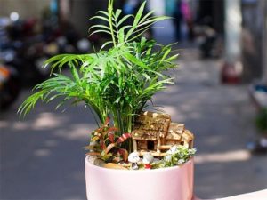 Cau tieu tram tieu canh 1