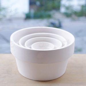 Chau gom bo 4 trang 510x510