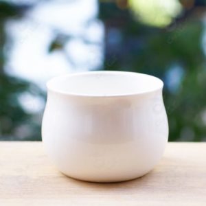 Chau gom nhat tron vat 35k min 510x510