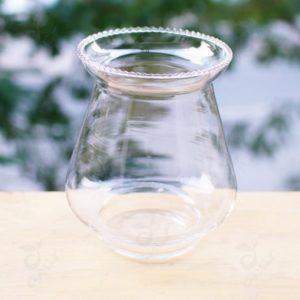 Chau thuy tinh ly 48 min 510x510
